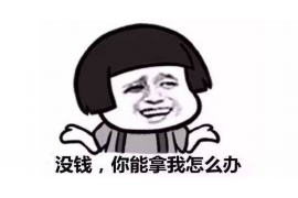 中方贷款清欠服务